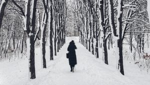 Превью обои человек, одиночество, зима, тропинка, деревья, sad
