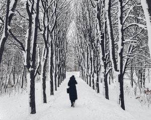 Превью обои человек, одиночество, зима, тропинка, деревья, sad