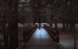 Превью обои человек, парк, прогулка, деревья