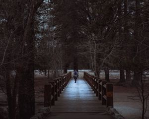 Превью обои человек, парк, прогулка, деревья