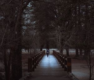 Превью обои человек, парк, прогулка, деревья