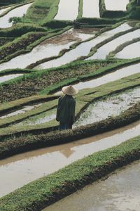 Превью обои человек, шляпа, рисовые поля, поля, вода