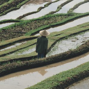 Превью обои человек, шляпа, рисовые поля, поля, вода