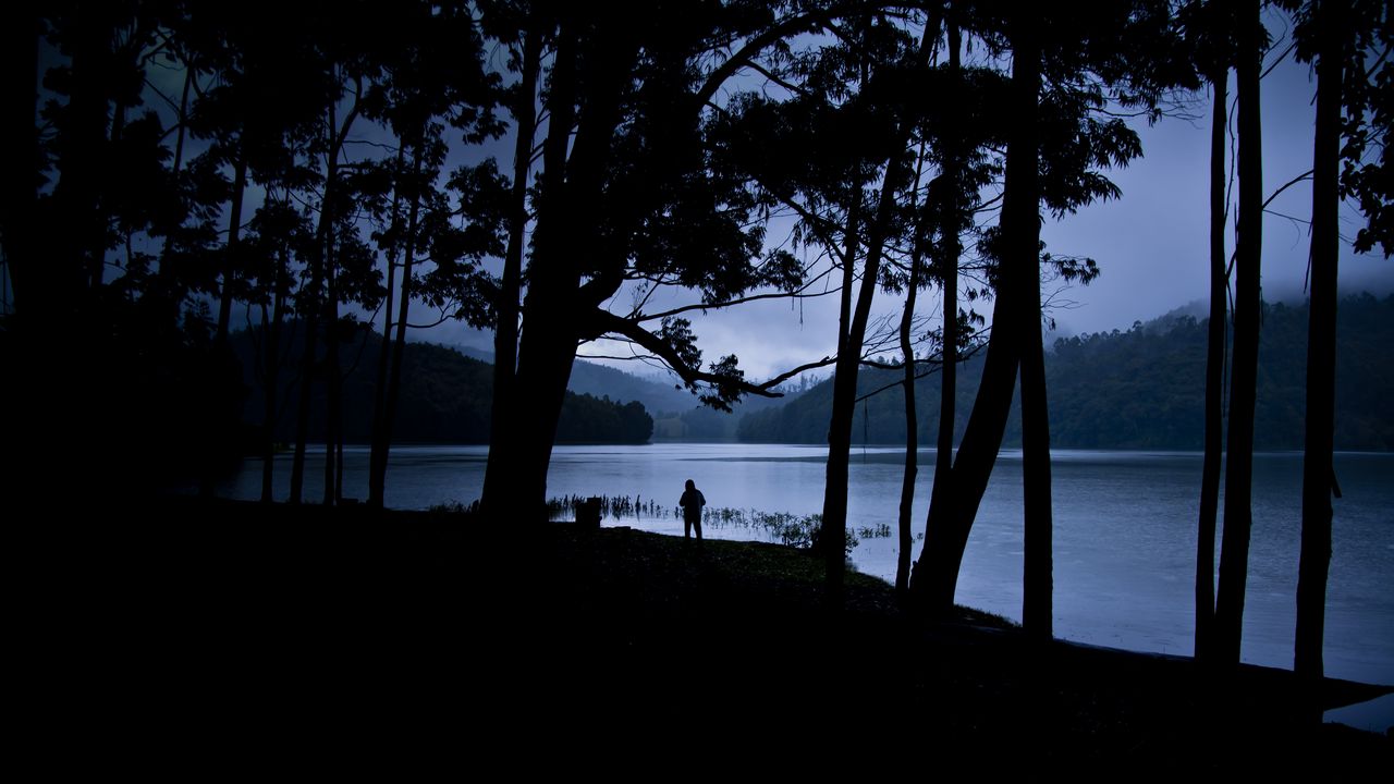 Обои человек, силуэт, деревья, озеро, одиночество, уединение