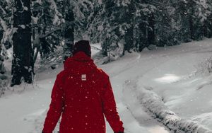 Превью обои человек, снег, деревья, зима, прогулка