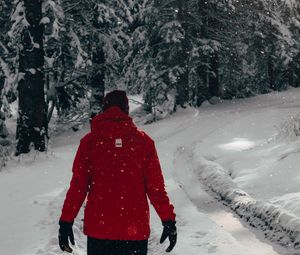 Превью обои человек, снег, деревья, зима, прогулка