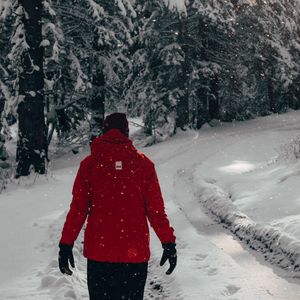 Превью обои человек, снег, деревья, зима, прогулка