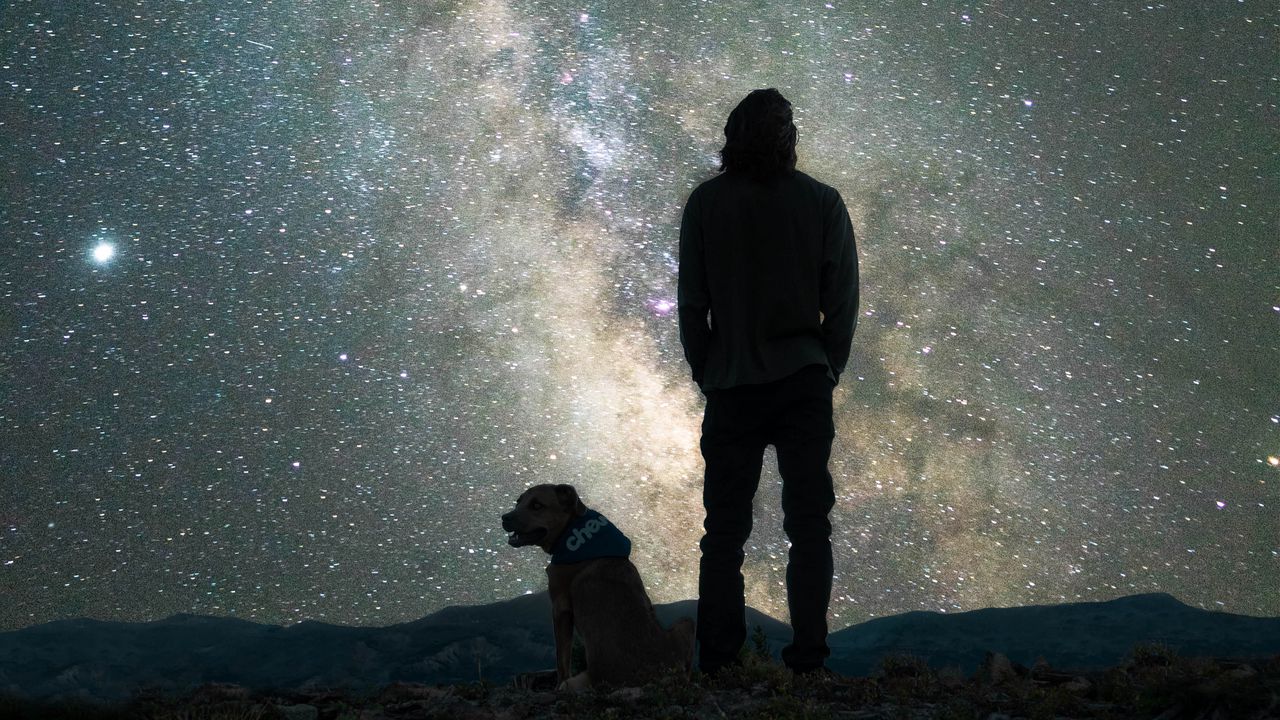 Обои человек, собака, ночь, звездное небо, туманность