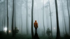Превью обои человек, туман, одиночество, лес, деревья