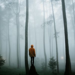 Превью обои человек, туман, одиночество, лес, деревья