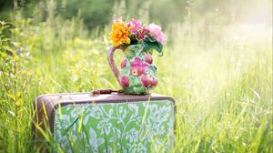 Превью обои чемодан, трава, цветы, ваза