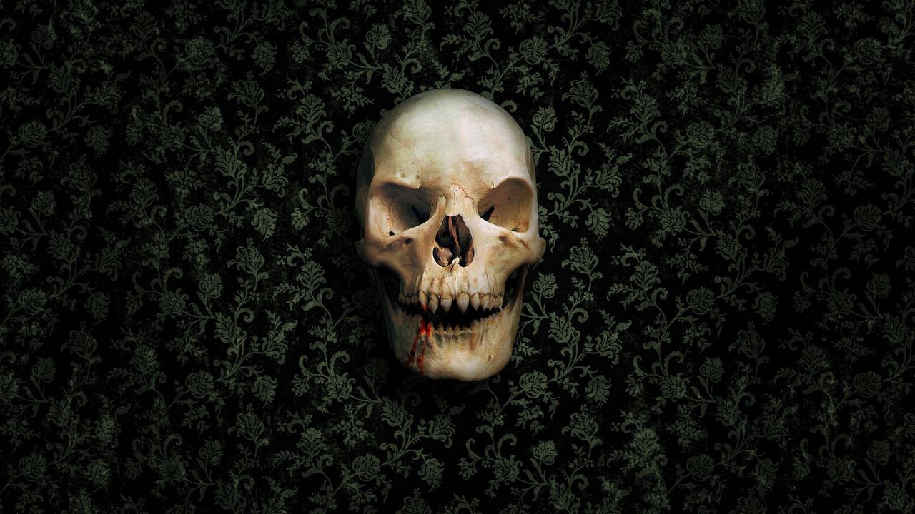 Обои череп, скелет, стена, зеленый, темный