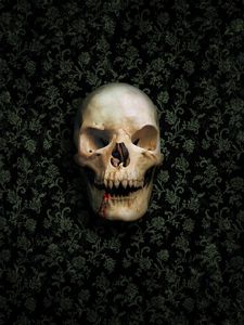 Превью обои череп, скелет, стена, зеленый, темный