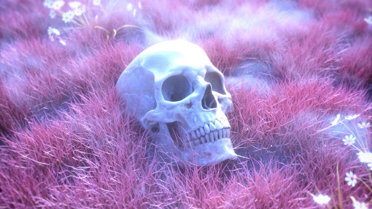 Обои череп, скелет, трава, розовый