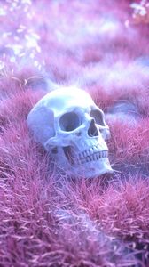 Превью обои череп, скелет, трава, розовый