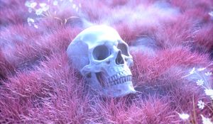 Превью обои череп, скелет, трава, розовый