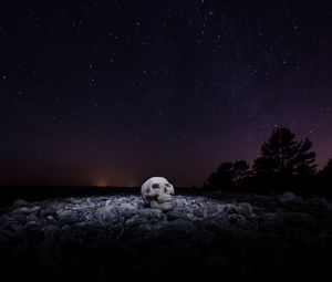 Превью обои череп, звездное небо, камни, ночь