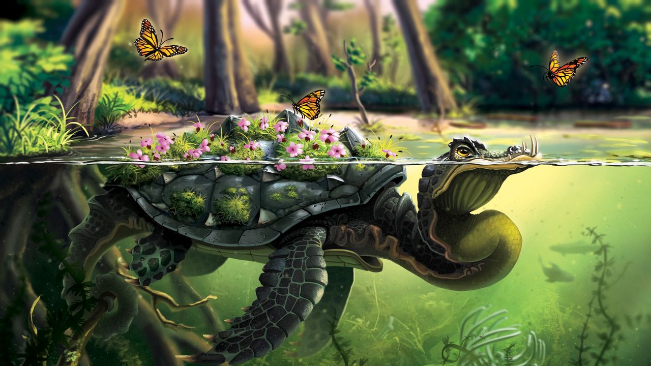 Обои черепаха, бабочки, арт, вода