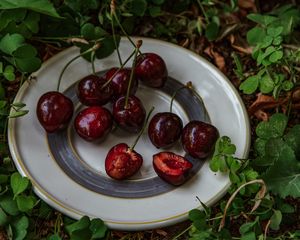 Превью обои черешня, вишня, ягода, тарелка, фрукт