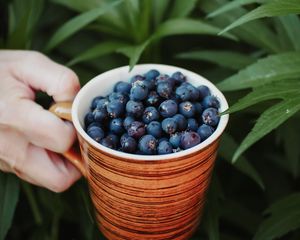 Превью обои черника, ягода, чашка, рука