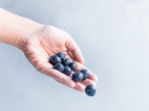 Превью обои черника, ягода, рука