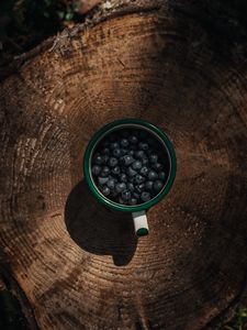 Превью обои черника, ягоды, кружка, пень