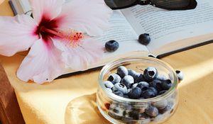Превью обои черника, цветок, ягода, книга, очки