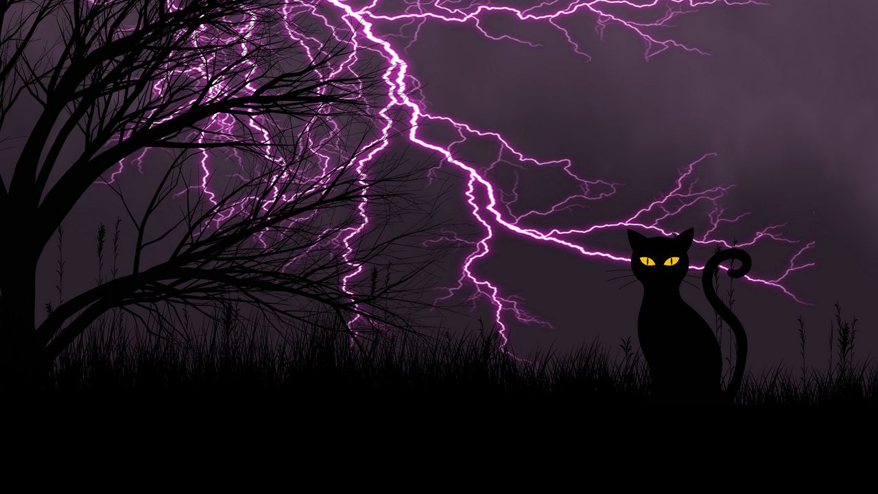Обои черный кот, молния, арт, трава, ночь