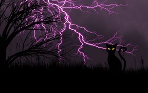Превью обои черный кот, молния, арт, трава, ночь