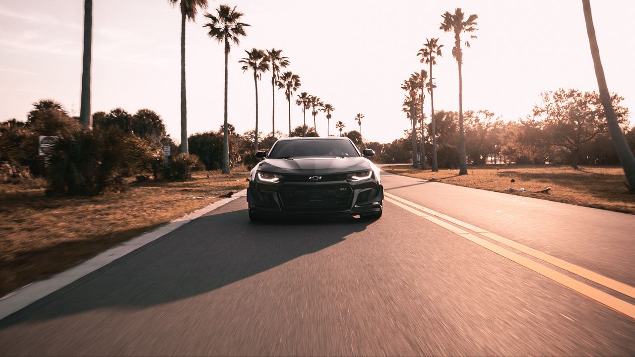 Обои chevrolet camaro, chevrolet, черный, вид спереди, дорога, асфальт, пальмы