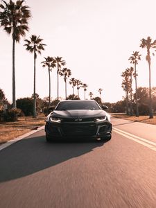 Превью обои chevrolet camaro, chevrolet, черный, вид спереди, дорога, асфальт, пальмы