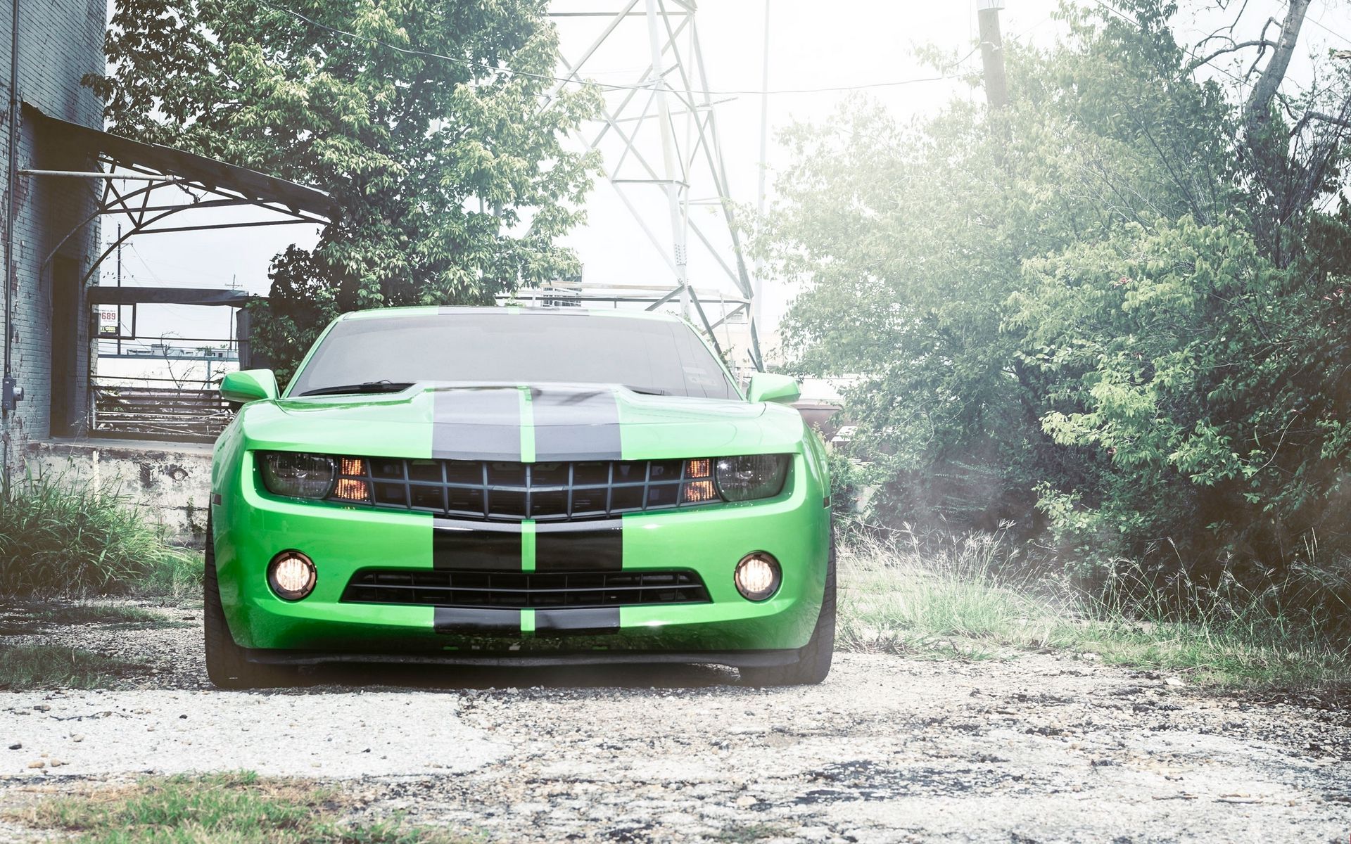 Chevrolet Camaro Green