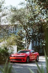 Превью обои chevrolet camaro, машина, спорткар, суперкар, красный