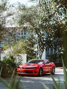 Превью обои chevrolet camaro, машина, спорткар, суперкар, красный