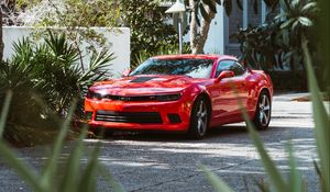 Превью обои chevrolet camaro, машина, спорткар, суперкар, красный