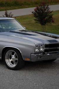 Превью обои chevrolet, chevelle, ss, 1970, серый, вид сбоку