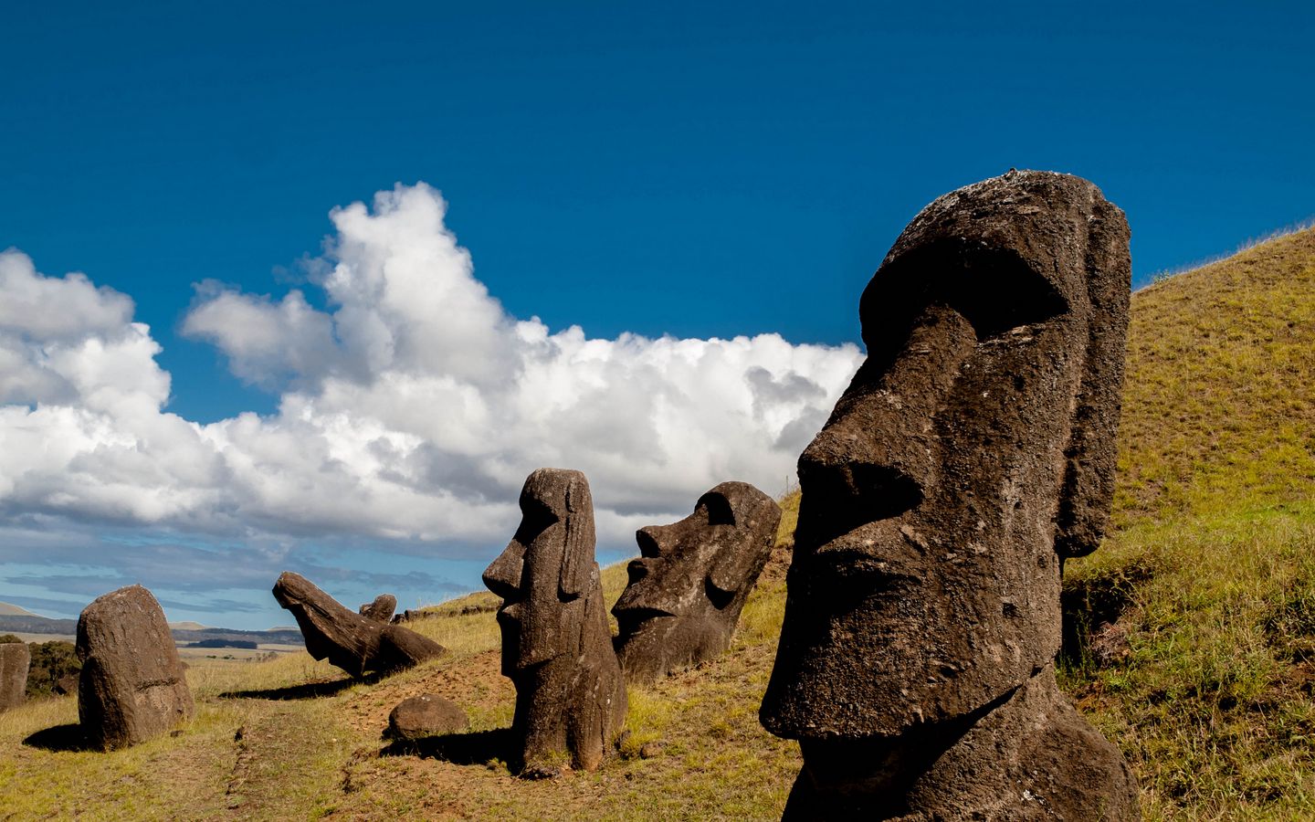 1440x900 Обои моаи, статуя, идол, остров пасхи, каменный