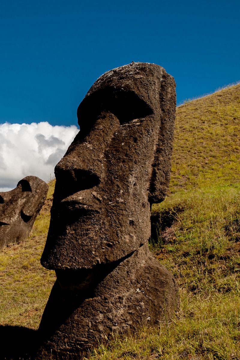 800x1200 Обои моаи, статуя, идол, остров пасхи, каменный