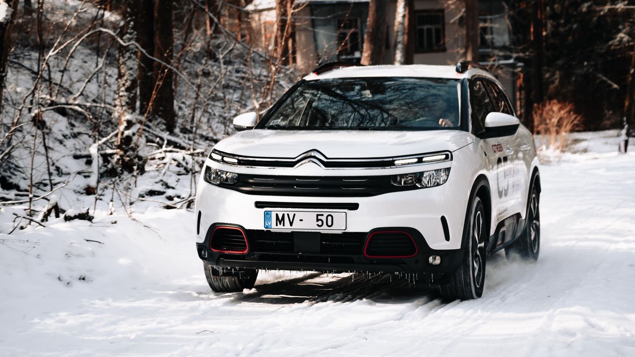 Обои citroen c5 aircross, citroen, автомобиль, белый, снег, деревья