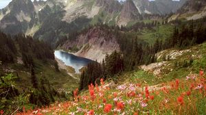 Превью обои cliff lake, айдахо, горы, цветы, деревья, озеро