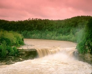 Превью обои cumberland falls, кентукки, вода, лес, водопад, деревья