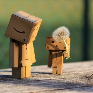 Превью обои danbo, картонный робот, одуванчик