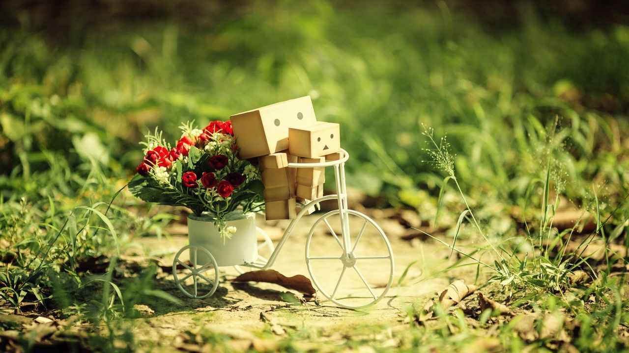 Обои danboard, велосипед, картонные роботы, цветы, трава