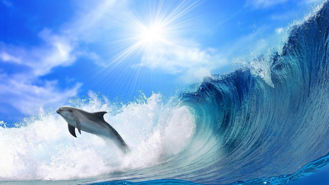 Обои дельфин, солнечный свет, блеск, прыжок, море, волны