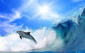 Превью обои дельфин, солнечный свет, блеск, прыжок, море, волны