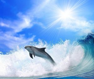 Превью обои дельфин, солнечный свет, блеск, прыжок, море, волны