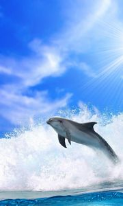 Превью обои дельфин, волны, свет, прыжок