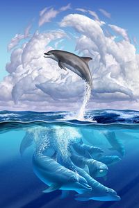 Превью обои дельфин, забавный, подводный мир, арт