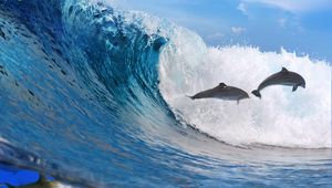 Превью обои дельфины, океан, волна, свобода