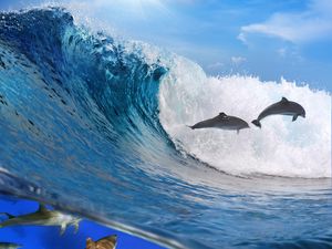 Превью обои дельфины, океан, волна, свобода